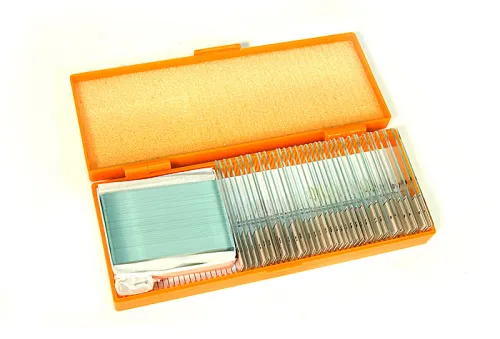 Набор готовых микропрепаратов Levenhuk N38 NG,  2