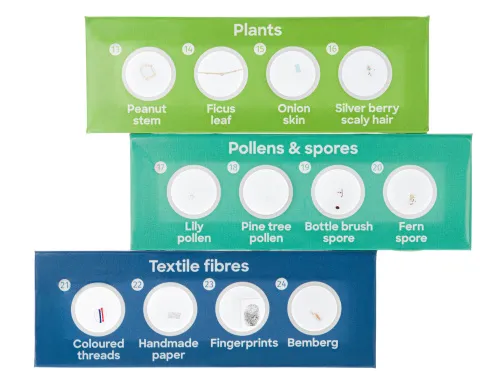 Набор микропрепаратов Levenhuk Discovery «Флора», 12 шт.,  3