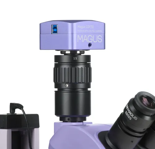 Микроскоп стереоскопический цифровой MAGUS Stereo D7T PLUS,  4