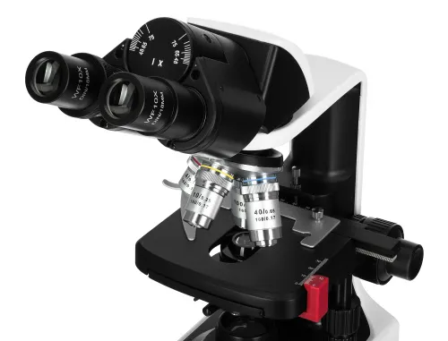 Микроскоп Levenhuk 450B, бинокулярный,  6