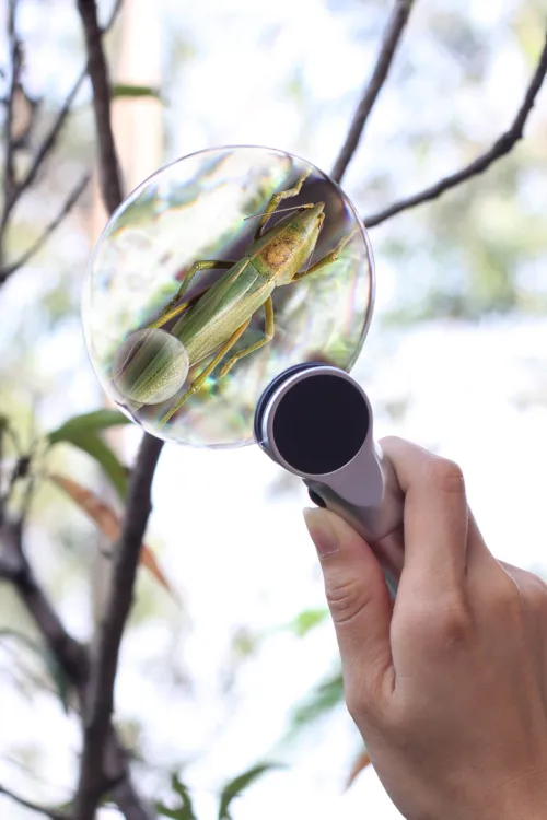 Лупа Levenhuk Zeno 400, 2/4x, 88/21 мм, 2 LED, металл,  9