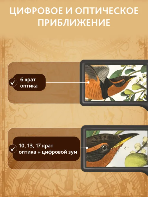 Лупа цифровая Levenhuk ERGO 40 PRO,  17
