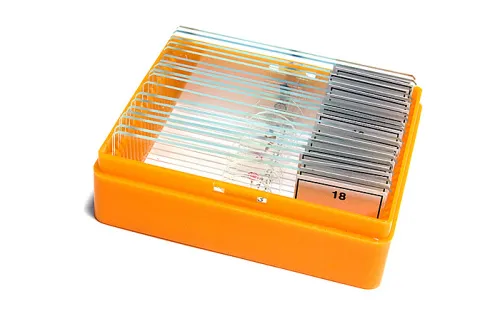 Набор готовых микропрепаратов Levenhuk N18 NG,  5