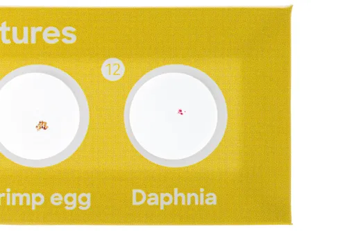 Набор микропрепаратов Levenhuk Discovery «Фауна», 12 шт.,  7