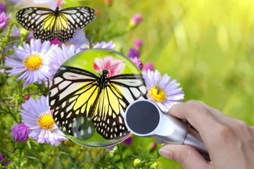 Лупа Levenhuk Zeno 400, 2/4x, 88/21 мм, 2 LED, металл,  7