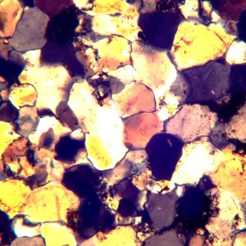 Микроскоп поляризационный MAGUS Pol 800,  18