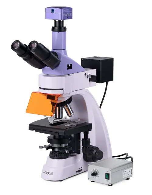 Микроскоп люминесцентный цифровой MAGUS Lum D400L,  3