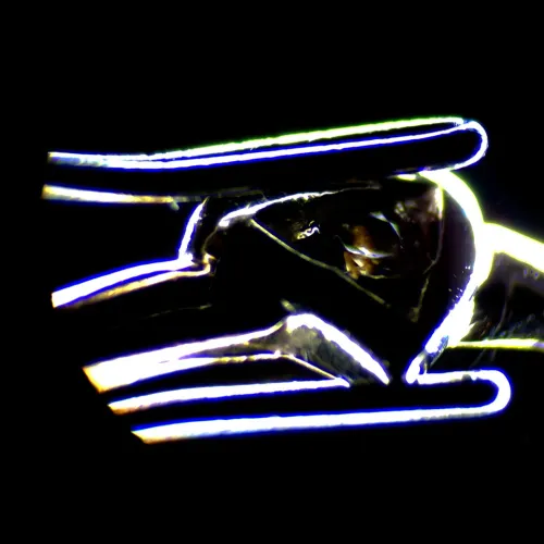 Микроскоп стереоскопический цифровой MAGUS Stereo D7T LCD PLUS,  6