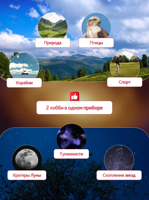 Набор: бинокль Levenhuk Bruno PLUS 25x70 со штативом,  20