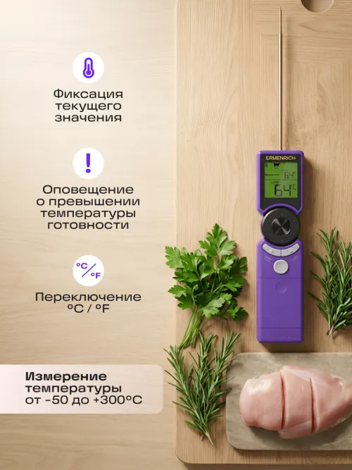 Термометр для мяса Ermenrich BBQ GT10,  20