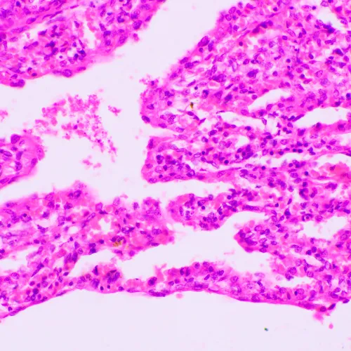 Микроскоп биологический MAGUS Bio 270T,  23