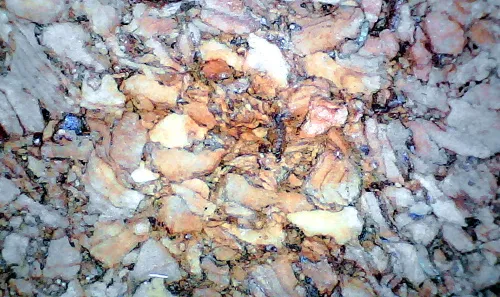 Микроскоп цифровой Levenhuk DTX 720 WiFi,  16