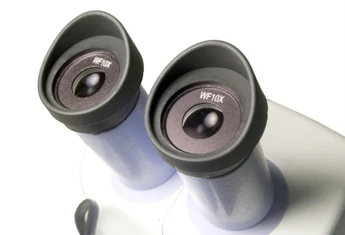 Микроскоп Levenhuk 5ST, бинокулярный,  6