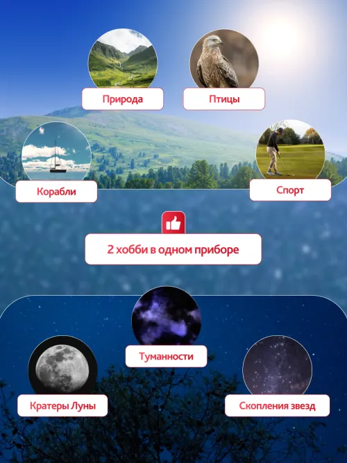 Набор: бинокль Levenhuk Bruno BASE 15x70 со штативом,  20