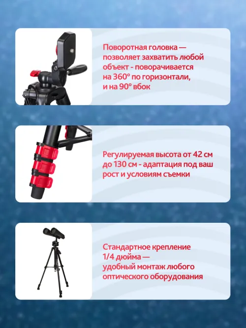 Набор: бинокль Levenhuk Bruno BASE 15x70 со штативом,  23