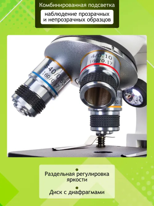 Микроскоп цифровой Levenhuk Discovery Femto Polar с книгой,  19