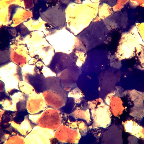 Микроскоп поляризационный MAGUS Pol 850,  22