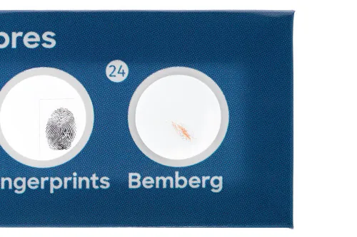 Набор микропрепаратов Levenhuk Discovery «Флора», 12 шт.,  5