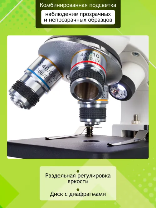 Микроскоп Levenhuk Discovery Femto Polar с книгой,  18