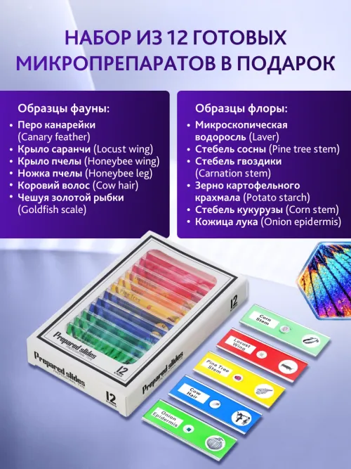 Микроскоп цифровой Levenhuk Rainbow DM500 LCD,  20