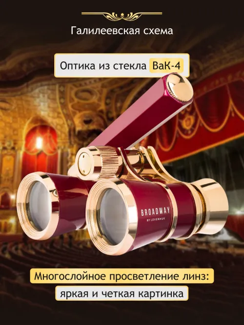 Театральный бинокль-лорнет Levenhuk Broadway 325E,  13