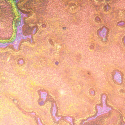 Микроскоп металлографический инвертированный MAGUS Metal V790 DIC,  22