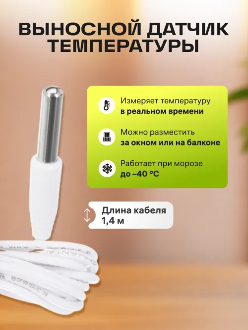 Термогигрометр Ermenrich Report WR10,  11