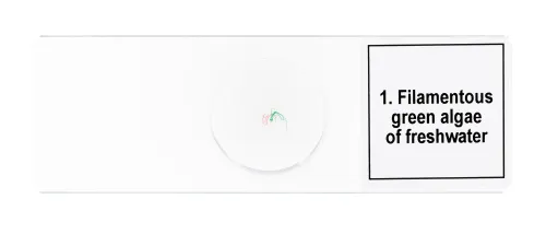 Набор микропрепаратов Levenhuk Discovery Prof DPS 5. «Биология»,  7