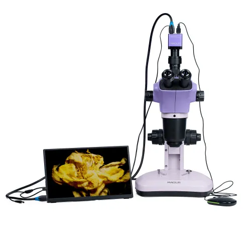 Микроскоп стереоскопический цифровой MAGUS Stereo D9T LCD,  6