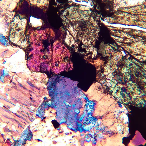 Микроскоп поляризационный MAGUS Pol 850,  20