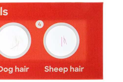 Набор микропрепаратов Levenhuk Discovery «Фауна», 12 шт.,  4