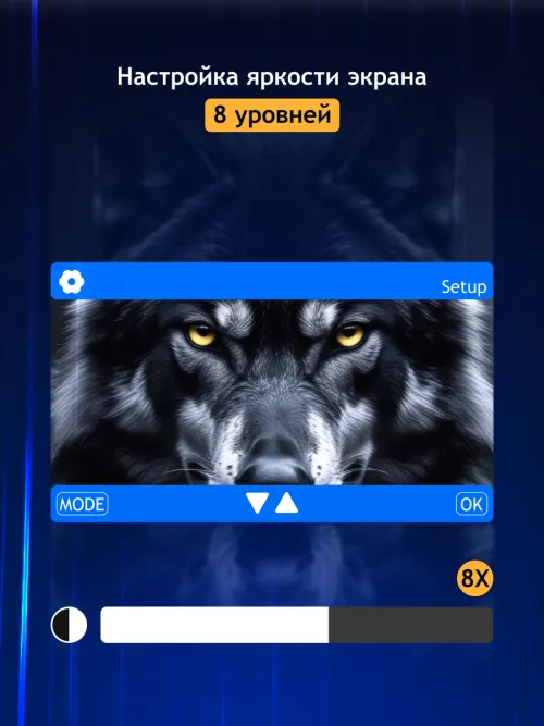 Бинокль цифровой ночного видения Levenhuk Halo 30XN,  17