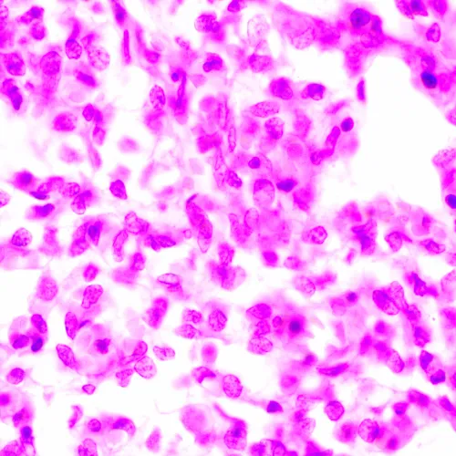 Микроскоп биологический MAGUS Bio 270T,  24