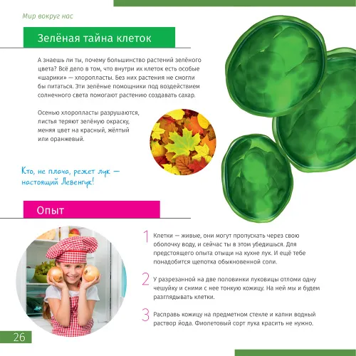 Книга знаний в 2 томах. «Космос. Микромир». Твердая обложка,  8