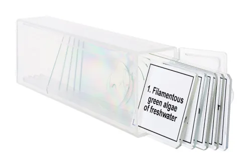 Набор микропрепаратов Levenhuk Discovery Prof DPS 5. «Биология»,  5