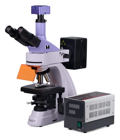 Микроскоп люминесцентный цифровой MAGUS Lum D400,  3