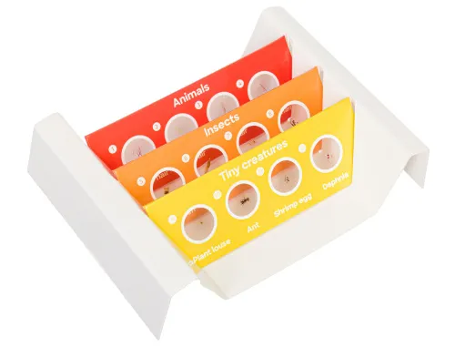 Набор микропрепаратов Levenhuk Discovery «Фауна», 12 шт.,  2