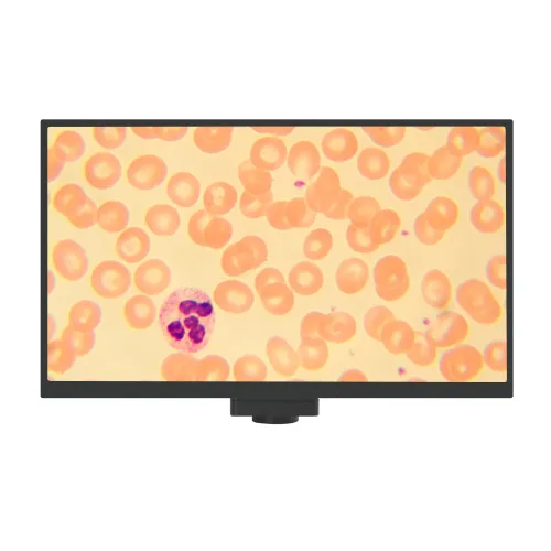 Камера цифровая MAGUS Vision 80 LCD,  2