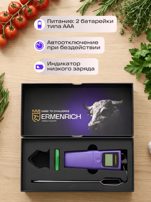 Термометр для мяса Ermenrich BBQ GT20,  22