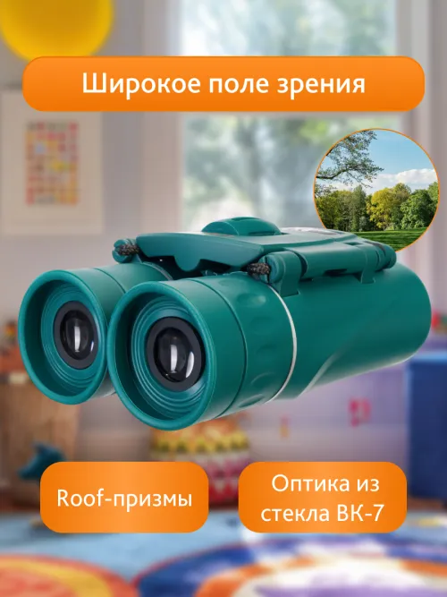 Бинокль Levenhuk LabZZ B5,  13