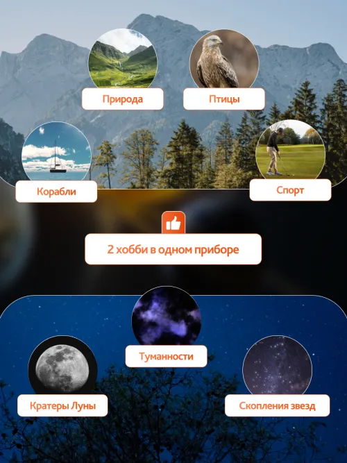 Набор: бинокль Levenhuk Bruno BASE 20x80 со штативом,  21