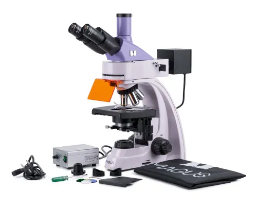 Микроскоп люминесцентный цифровой MAGUS Lum D400L,  2