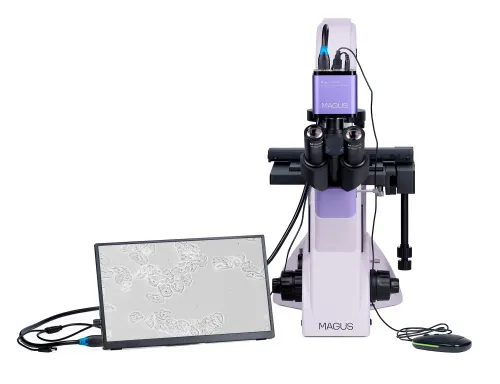 Микроскоп биологический инвертированный цифровой MAGUS Bio VD350 LCD,  6