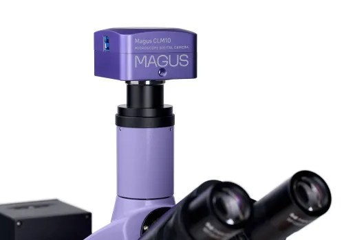 Микроскоп люминесцентный цифровой MAGUS Lum D400L,  21